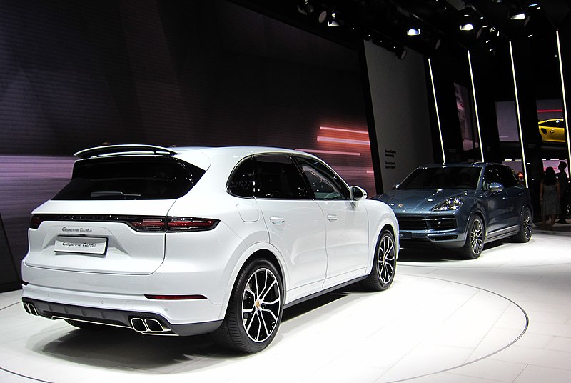 wildsino casino login